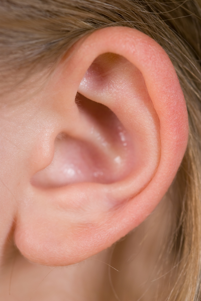 Human Ear